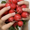 Retekkel a külső-belső egészségért